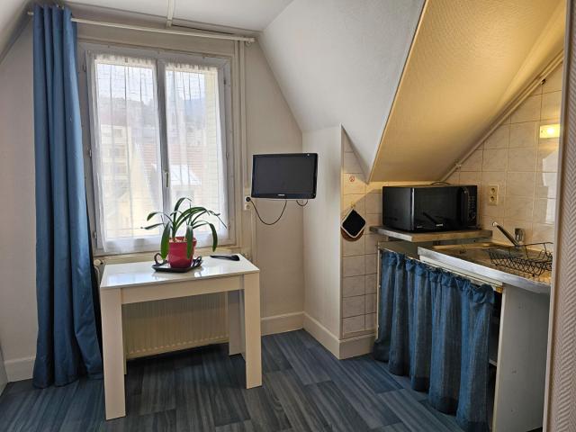 Appartement 1 pièce, 17 m² à louer à Aix les Bains 73100