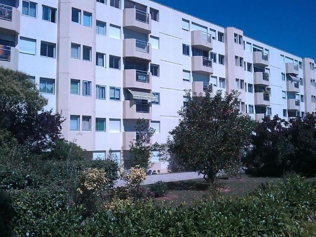 Appartement 1 pièce, 17 m² à louer à Puilboreau 17138