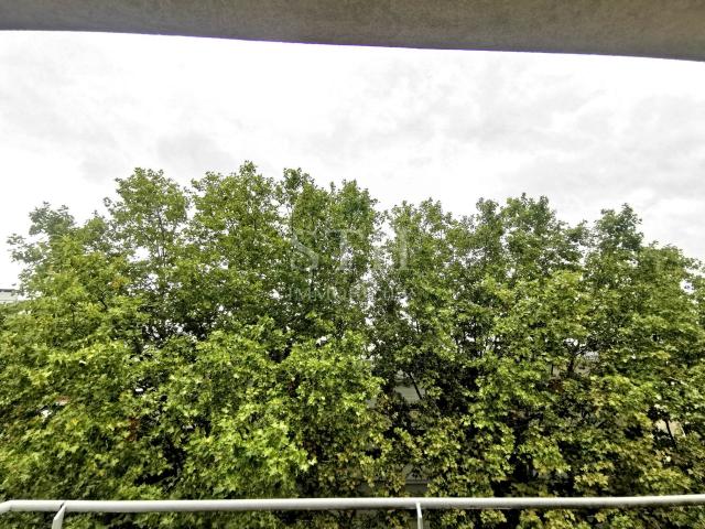Appartement 1 pièce 18 m²