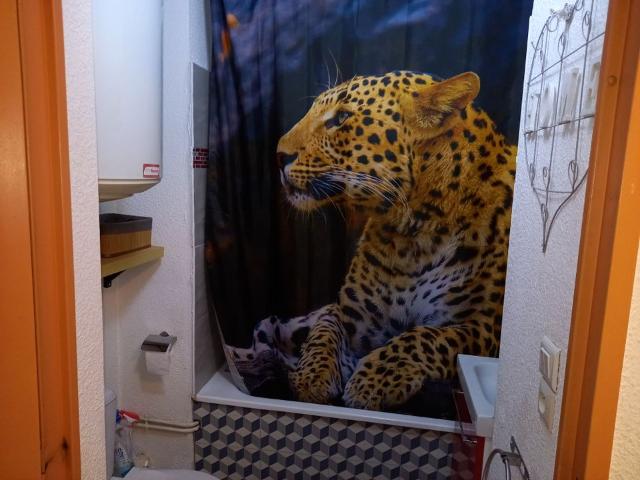 Appartement 1 pièce, 18 m² à louer à Nîmes 30000