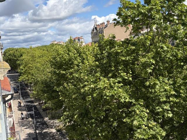 Appartement 1 pièce, 18 m² à louer à Béziers 34500