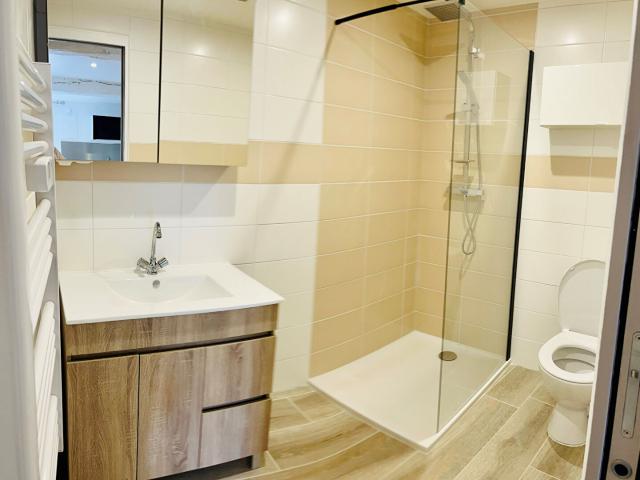 Appartement 1 pièce, 18 m² à louer à Fleys 89800