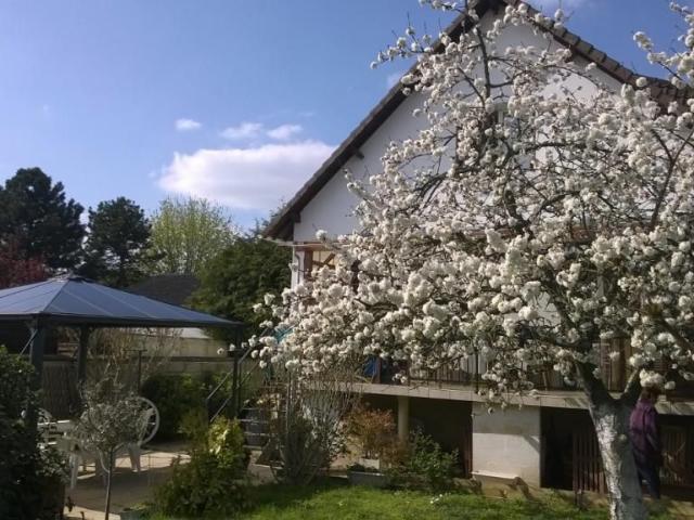 Appartement 1 pièce, 18 m² à louer à Les Mureaux 78130