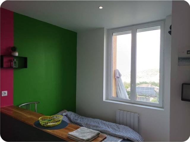Appartement 1 pièce, 18 m² à louer à Saint Étienne 42000