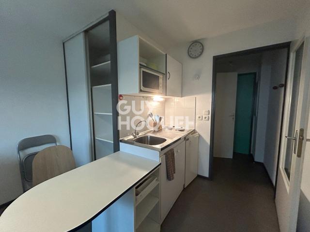 Appartement 1 pièce, 18 m² à louer à Villeurbanne 69100