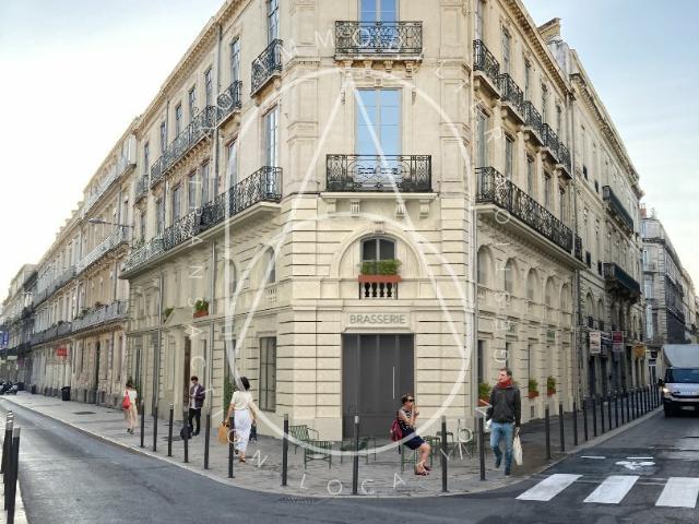 Appartement 1 pièce 19 m²