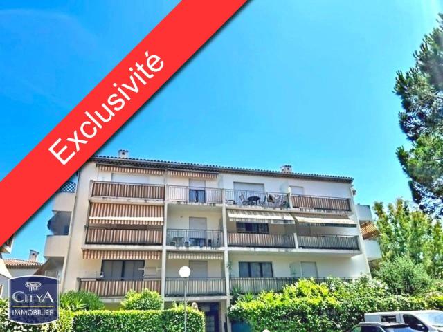 Appartement 1 pièce 19 m²