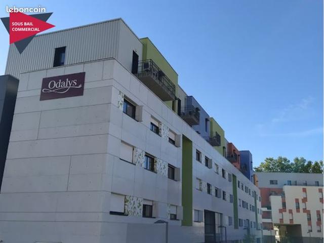 Appartement 1 pièce 19 m²