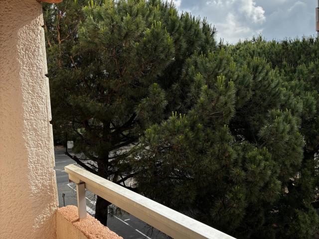 Appartement 1 pièce 19 m²