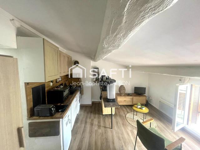 Appartement 1 pièce 19 m²
