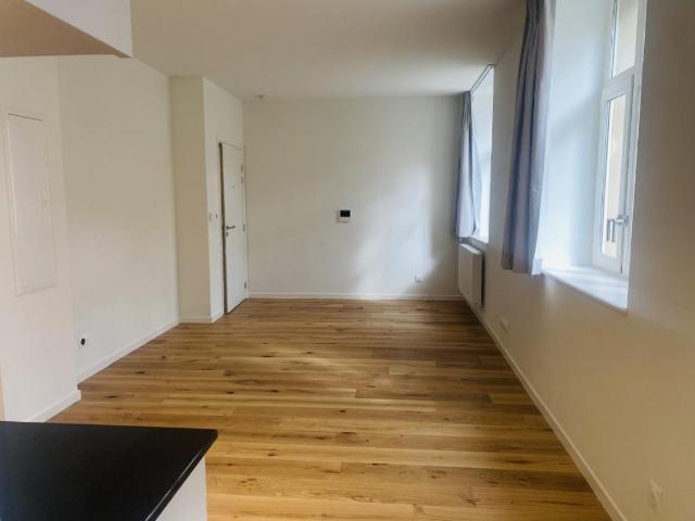 Appartement 1 pièce 19 m²