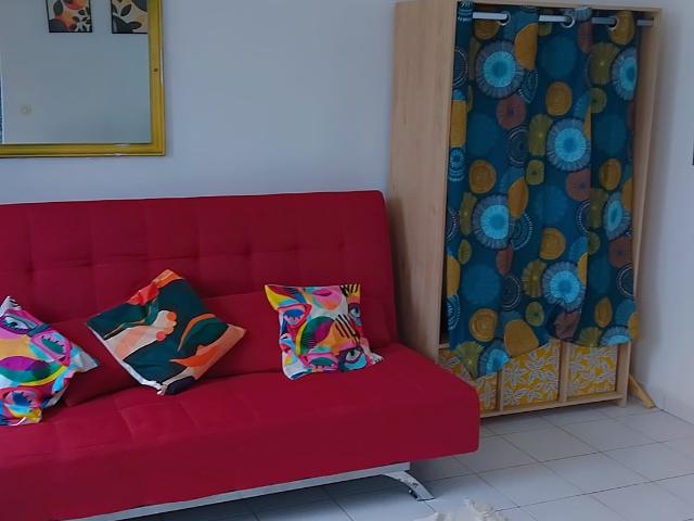 Appartement 1 pièce 19 m²