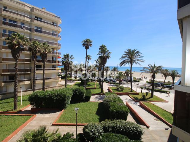 Appartement 1 pièce, 19 m² à louer à Canet en Roussillon 66140