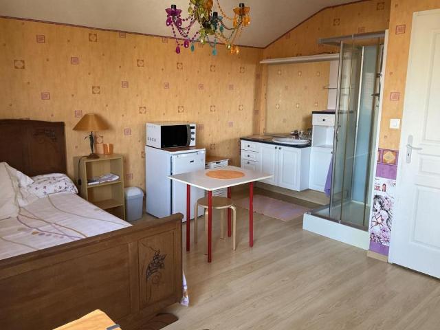 Appartement 1 pièce, 19 m² à louer à Dijon 21000