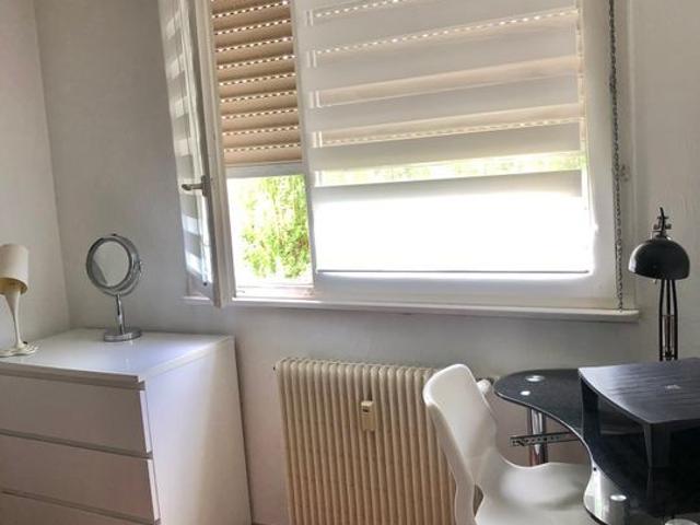Appartement 1 pièce, 10 m² à louer à Hœnheim 67800