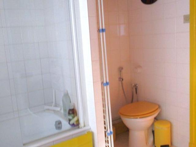 Appartement 1 pièce, 10 m² à louer à Lyon 4 69004