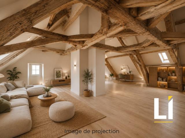 Appartement 1 pièce 111 m²