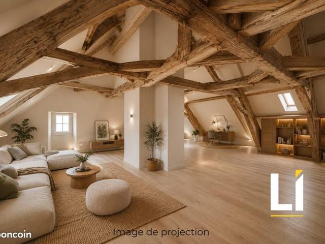 Appartement 1 pièce 111 m²