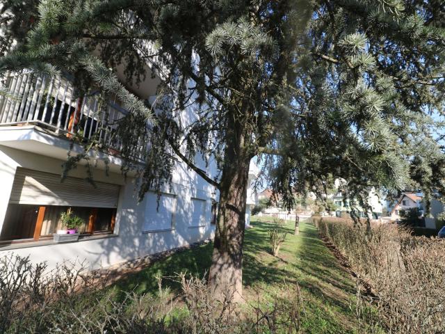 Appartement 1 pièce 12 m²