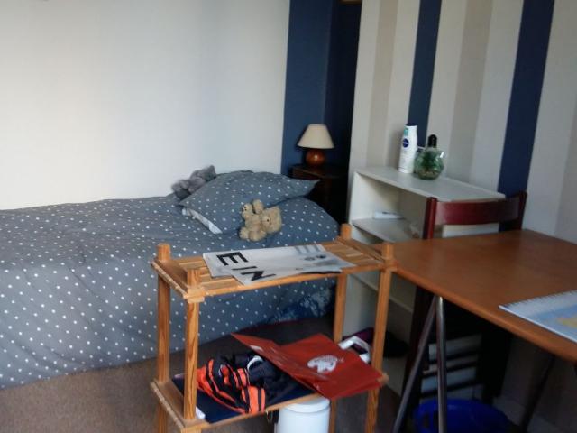 Appartement 1 pièce, 12 m² à louer à Olivet 45160