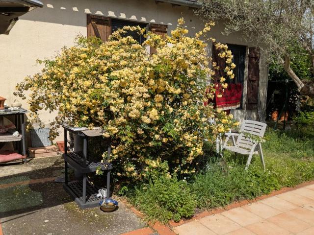Appartement 1 pièce, 12 m² à louer à Toulouse 31000