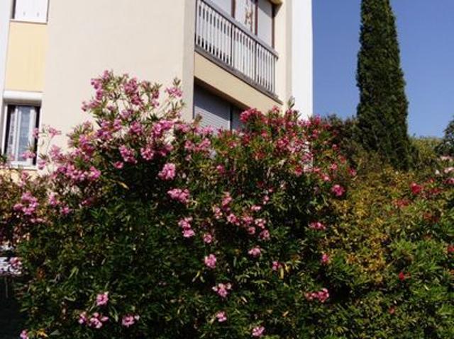 Appartement 1 pièce, 13 m² à louer à Montpellier 34000