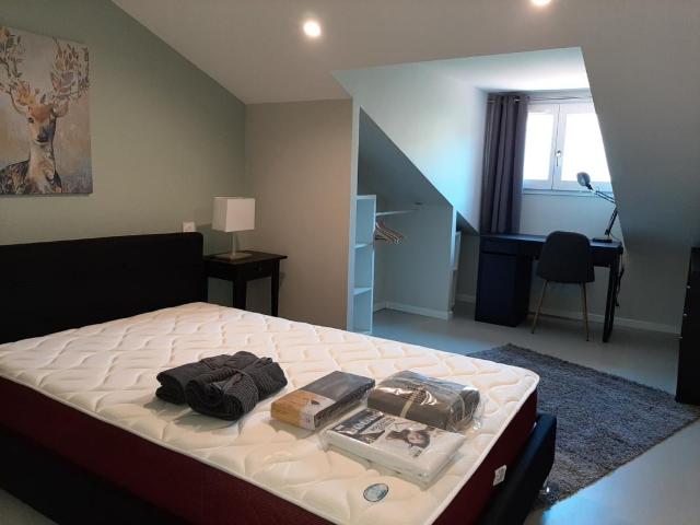 Appartement 1 pièce, 13 m² à louer à Lyon 7 69007