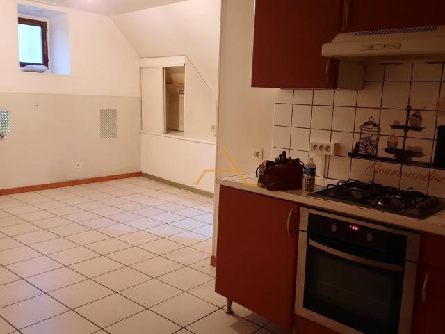 Appartement 1 pièce 24 m²