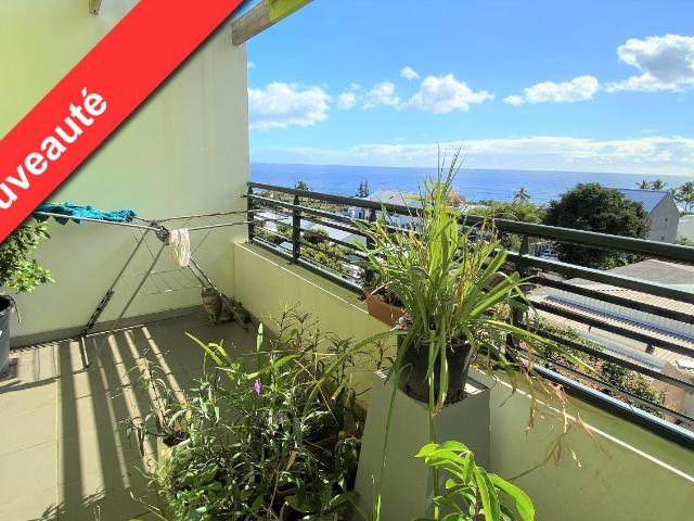 Appartement 1 pièce 24 m²