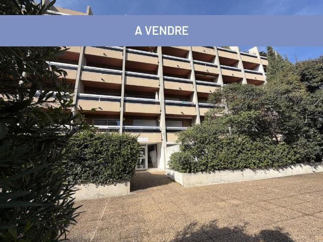 Appartement 1 pièce 24 m²