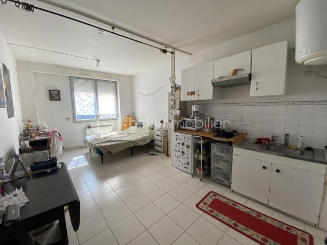 Appartement 1 pièce 24 m²