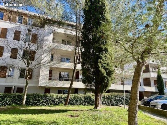 Appartement 1 pièce 24 m²