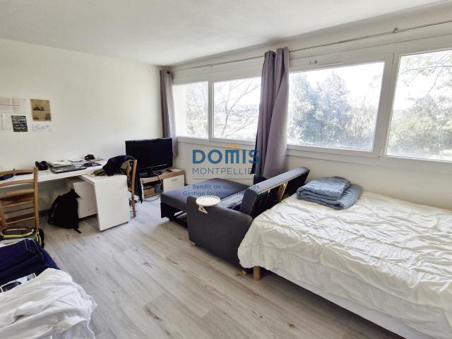 Appartement 1 pièce 24 m²