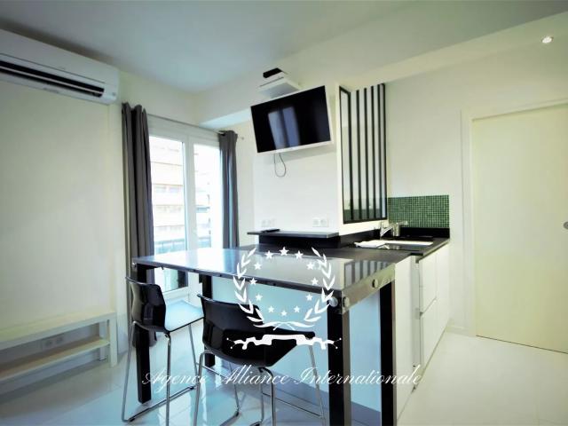 Appartement 1 pièce 24 m²