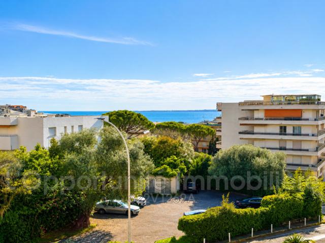 Appartement 1 pièce 24 m²