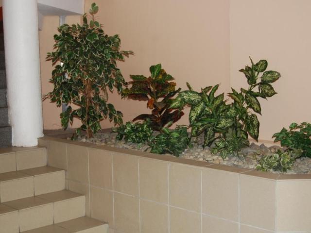 Appartement 1 pièce, 24 m² à louer à Grenoble 38000