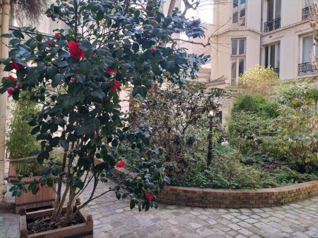 Appartement 1 pièce, 24 m² à louer à Paris 4 75004