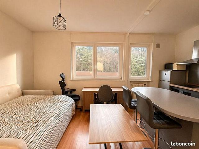 Appartement 1 pièce 25 m²