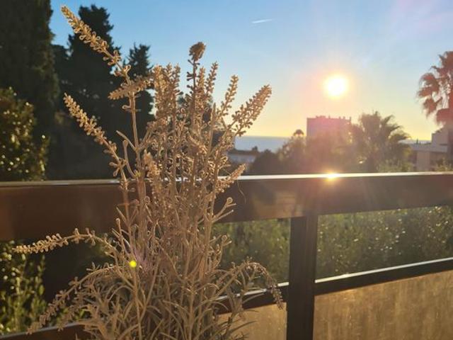 Appartement 1 pièce, 25 m² à louer à Nice 06000