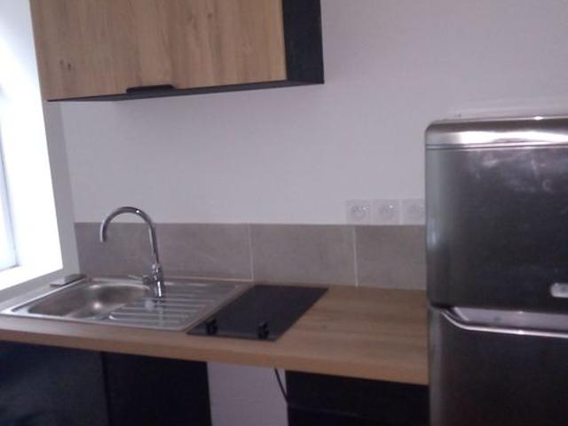 Appartement 1 pièce, 25 m² à louer à Saint Étienne 42000