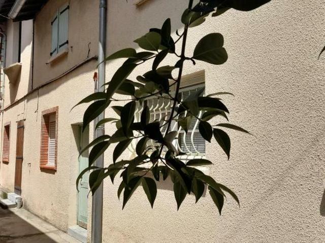 Appartement 1 pièce 26 m²