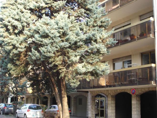 Appartement 1 pièce, 26 m² à louer à Grenoble 38000