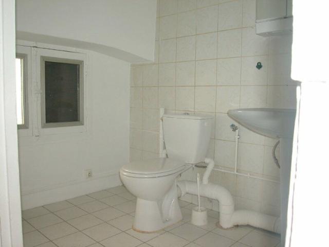 Appartement 1 pièce, 26 m² à louer à La Tronche 38700