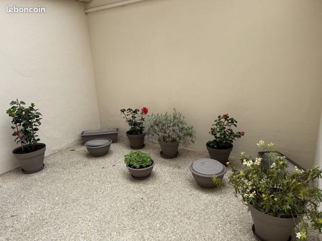 Appartement 1 pièce 27 m²