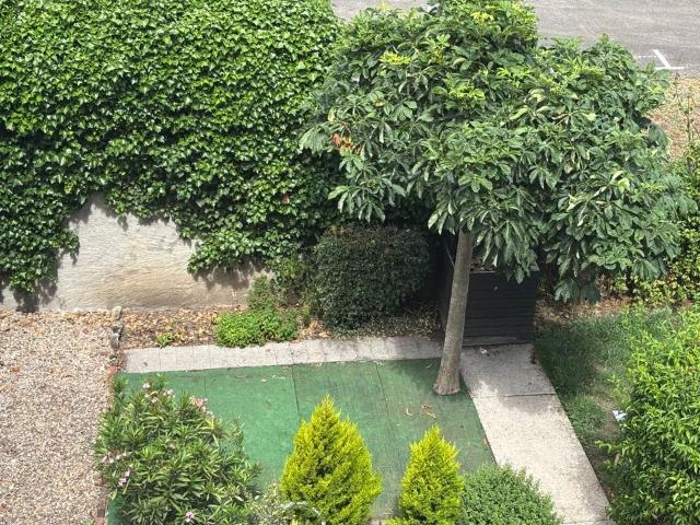 Appartement 1 pièce, 27 m² à louer à Montigny lès Metz 57950