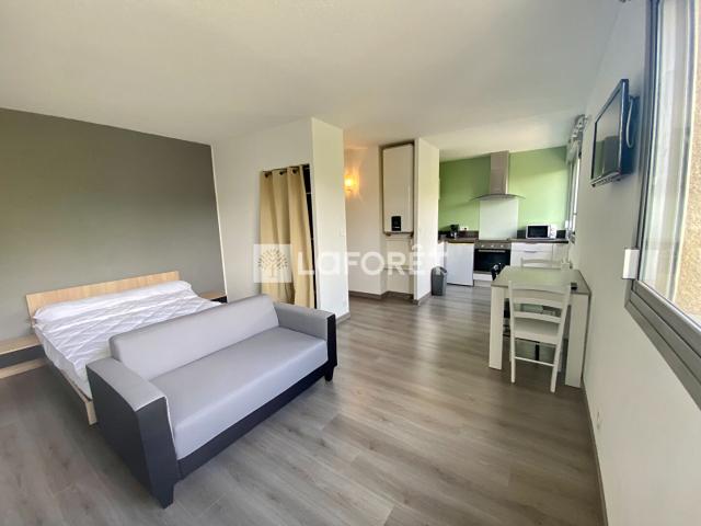Appartement 1 pièce, 27 m² à louer à Albi 81000