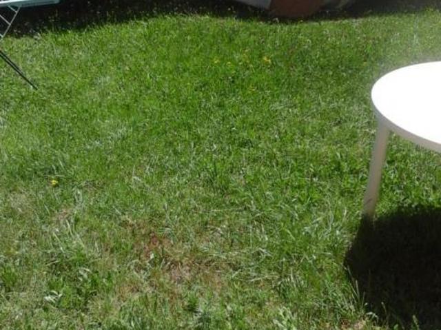 Appartement 1 pièce, 27 m² à louer à Digne les Bains 04000