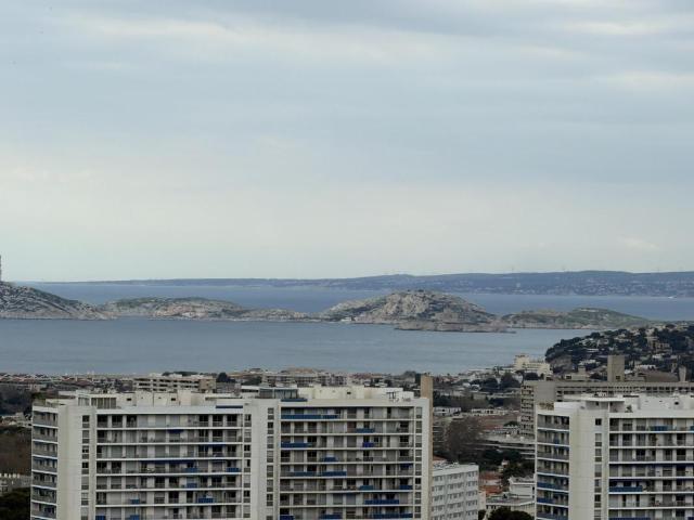 Appartement 1 pièce 28 m²