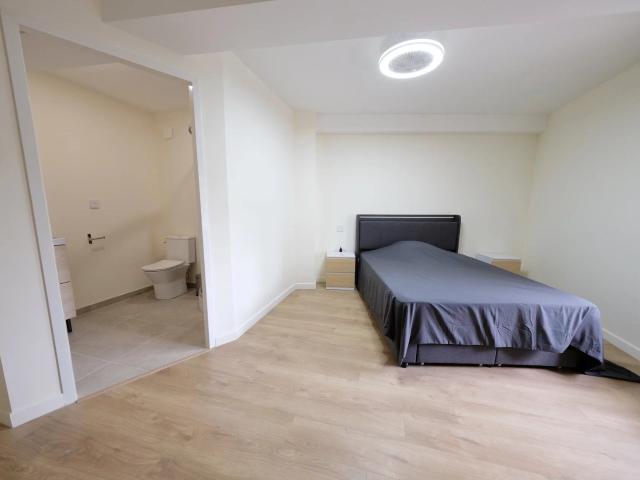 Appartement 1 pièce, 28 m² à louer à Oullins Pierre Bénite 69310