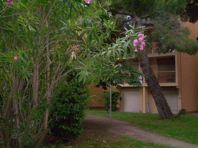 Appartement 1 pièce, 28 m² à louer à Avignon 84000